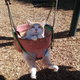 Illustration for article titled Im a Cat from Cats Dot Kinja, and This Is How I Meow